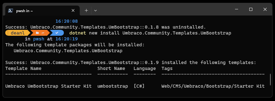 dotnet new install showing the template successfully installed