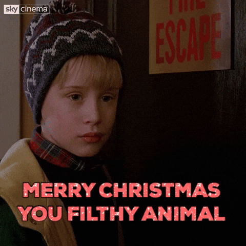 An animated image of Kevin from Home Alone 2 saying 'Merry Christmas ya filthy animal'